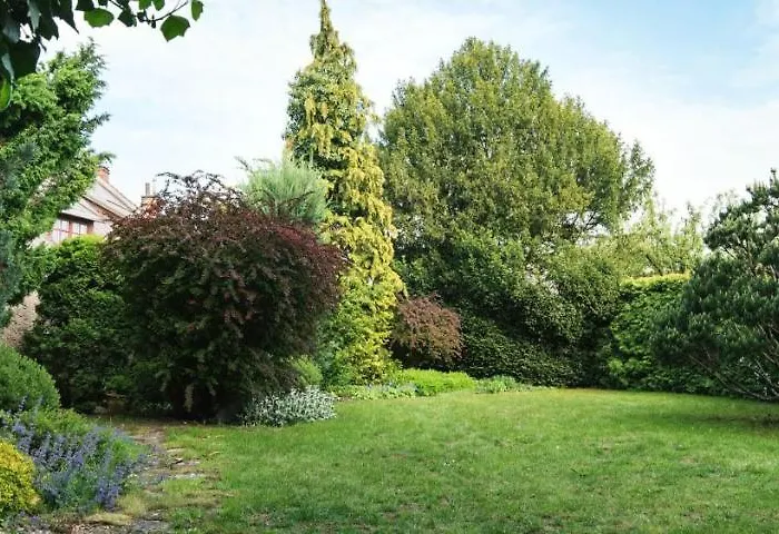 Libusina Guest house