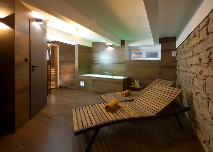 Guest house Libusina 3*